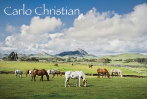 ChristianPostcard-Front5-copy